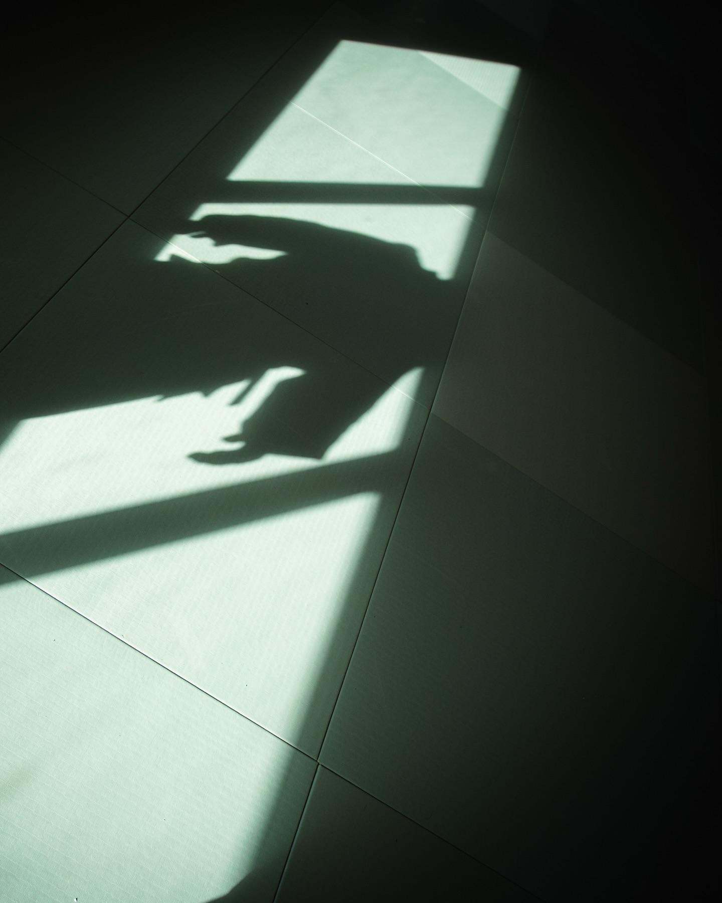 We’re diving headfirst into the world of judo for 6 intense days at the @sergeijudocamp !
Our mission? Capture the spirit, the sweat, and the magic — through daily photo and video creations.
It’s a beautiful challenge that pushes us to stay sharp, move fast, and think even faster.
Creativity on high alert. Passion fully engaged.
Let’s roll!

#5ElementsProduction #JudoLife #judocamp #SJC2025 #sergeijudocamp