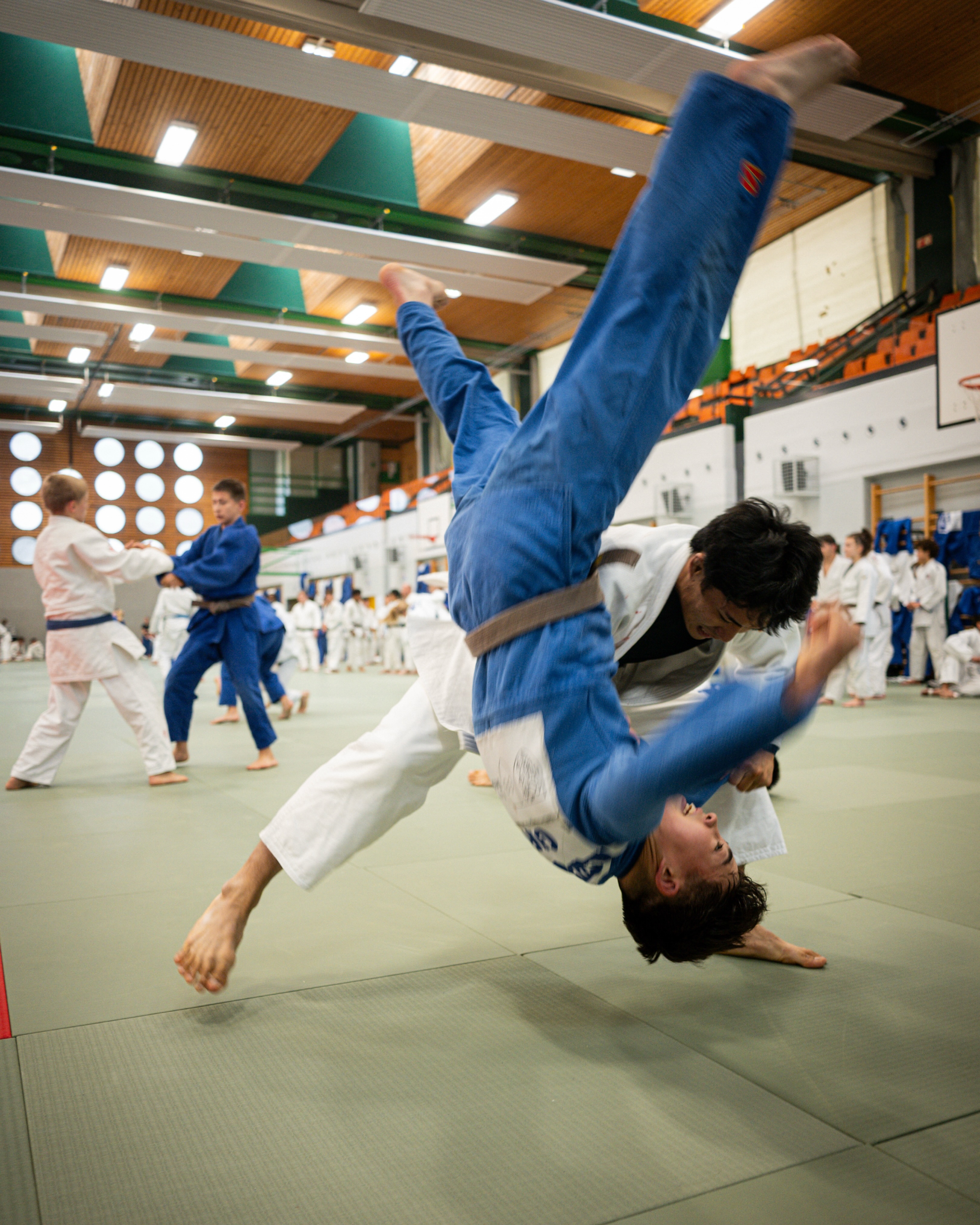 Une semaine. Des centaines de judokas. Des milliers de photos et de plans. Et une seule mission : raconter l’histoire du NATSU Camp 2026.

Pendant 7 jours, notre rôle ne s’est pas limité à réaliser un film récap. L’objectif était aussi de produire du contenu chaque jour pour faire vivre les réseaux sociaux de la page @sergeijudocamp , en temps réel.

Photos, Reels, interviews, BTS, aftermovie… des journées qui commençaient vers 7h30 et se terminaient souvent autour de minuit. Beaucoup d’heures sur les tatamis, derrière les écrans et à courir d’un entraînement à l’autre, mais ça en valait largement la peine.

Voir certains contenus dépasser les 180 000 vues est une belle récompense. Encore plus quand on sait tout le travail qu’il y a derrière chaque publication.

Un immense merci à @jonathanviey pour son regard, son énergie et son engagement pendant ces trois jours de production. C’était un vrai plaisir de partager cette aventure.

Le camp est terminé, mais le travail continue. L’objectif est maintenant de faire vivre la page insta @sergeijudocamp toute l’année avec du contenu qui donne envie de revenir sur les tatamis.

Merci à toute l’équipe pour la confiance. On est fiers de ce qu’on a construit ensemble. 🥋🎥

#BehindTheScenes #ContentCreation #Judo #Filmmaking #5ElementsProduction